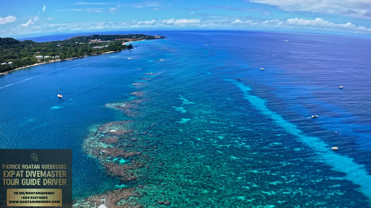 West End Wall — mur de récif à West Bay Roatán