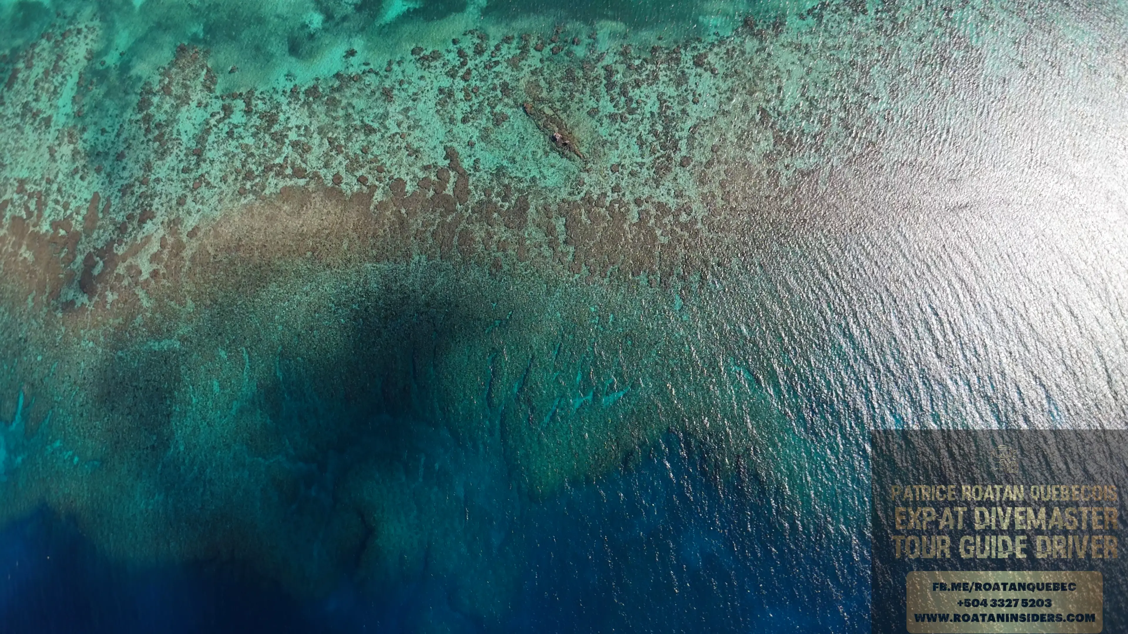 Snorkeling au Turtle Crossing — passage des tortues vertes