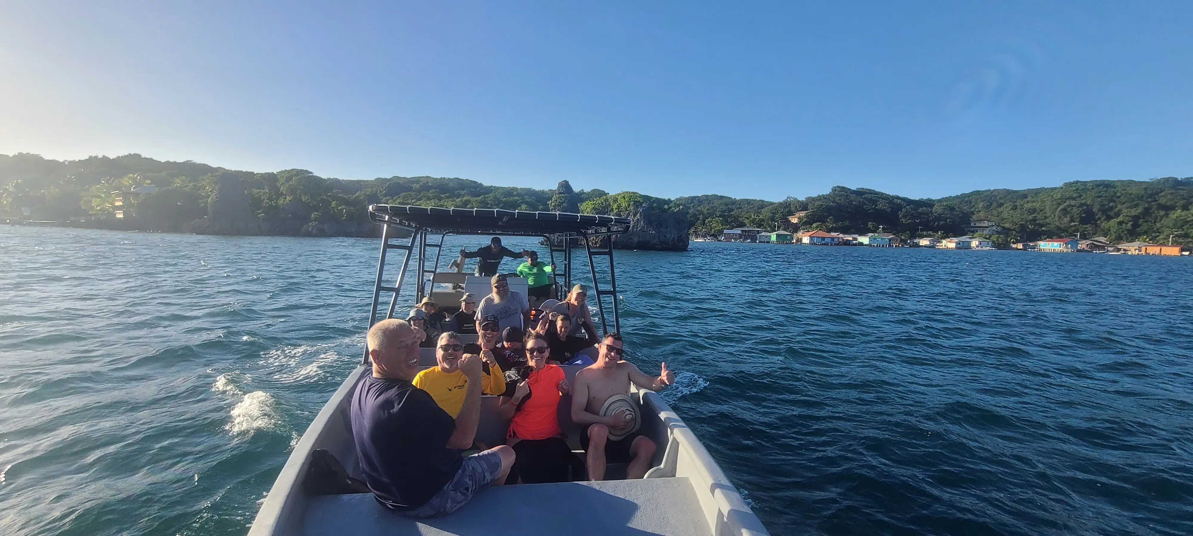 Swim with nurse sharks — requin-nourrice paisible à Pigeon Cay