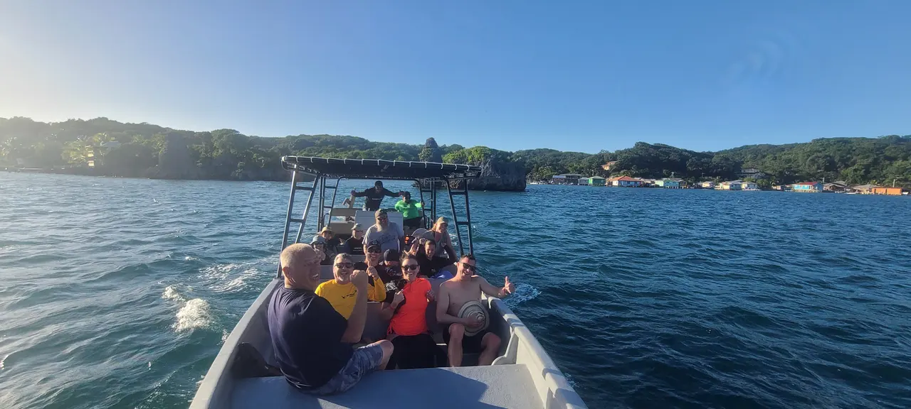 Swim with nurse sharks — requin-nourrice paisible à Pigeon Cay