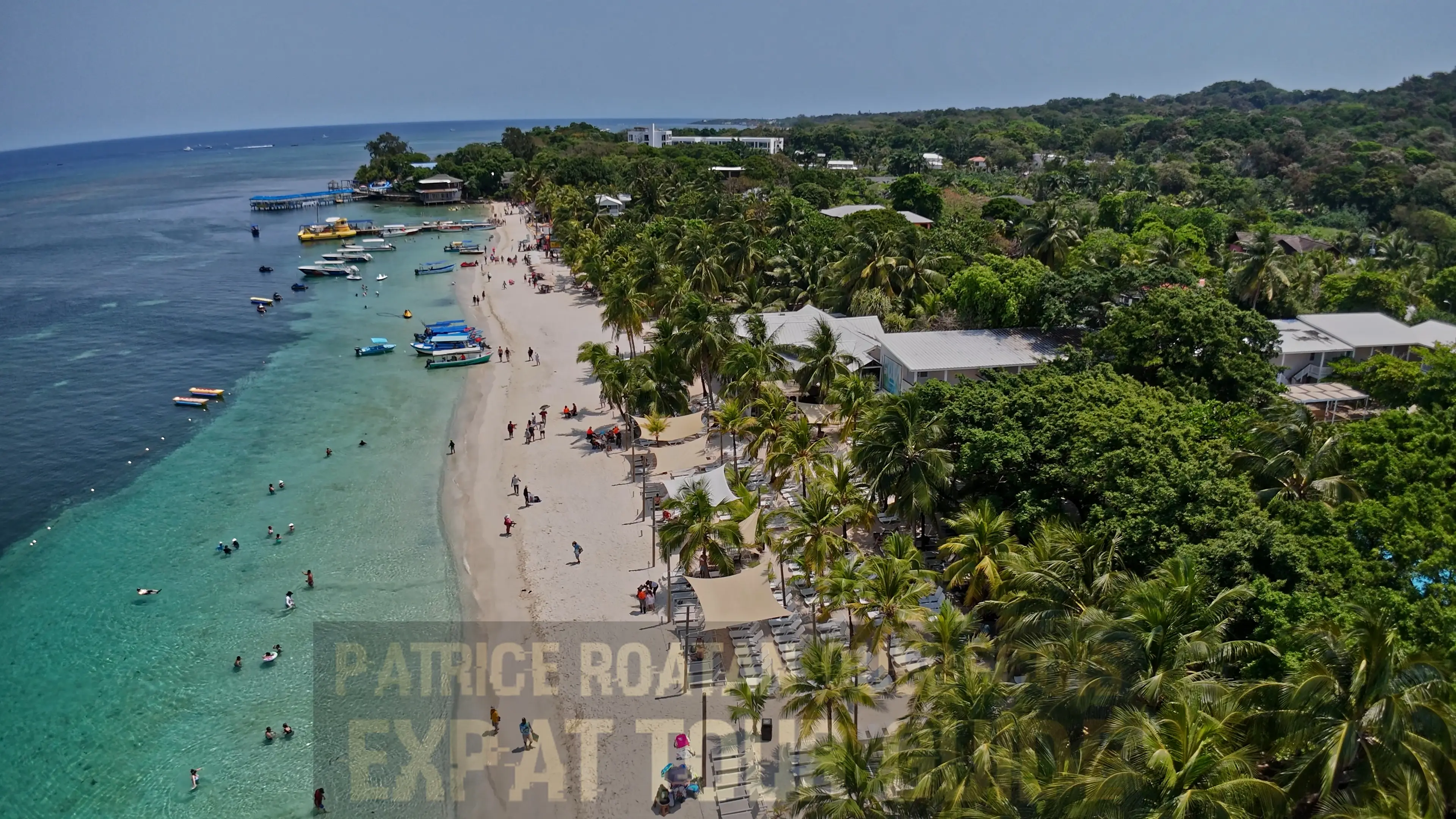 Jardins tropicaux luxuriants entourant les chambres