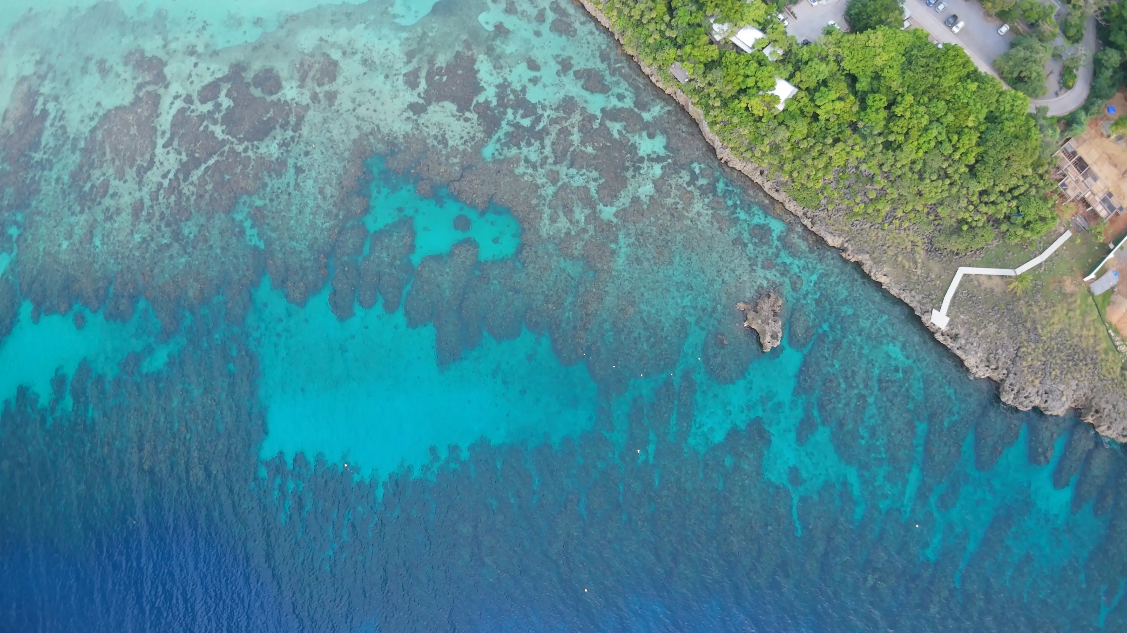 Eaux cristallines du West Bay reef — Roatán