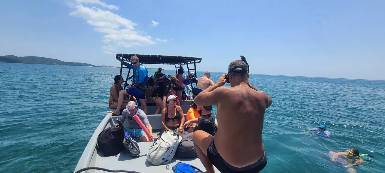 Nage avec les requins-nourrices à Pigeon Cay — swim with nurse sharks