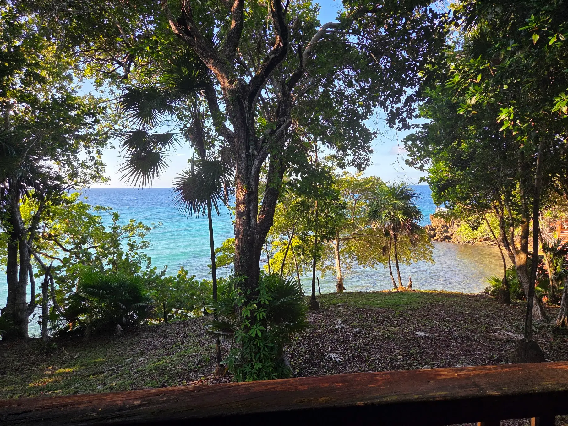 Vue sur la mer turquoise depuis une terrasse ombragée par les arbres