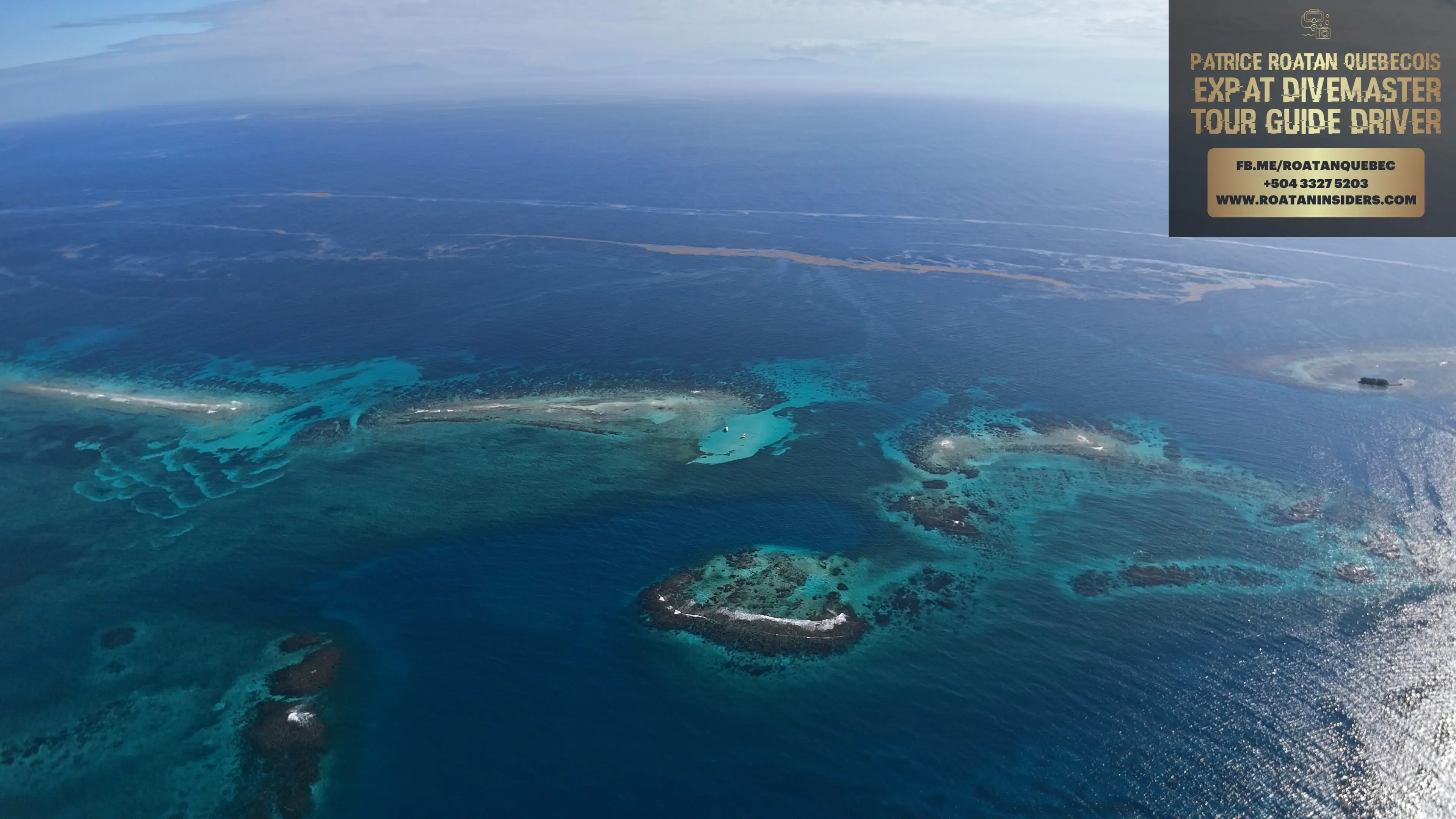 Voyageurs dans l'eau turquoise — nurse shark sandbar