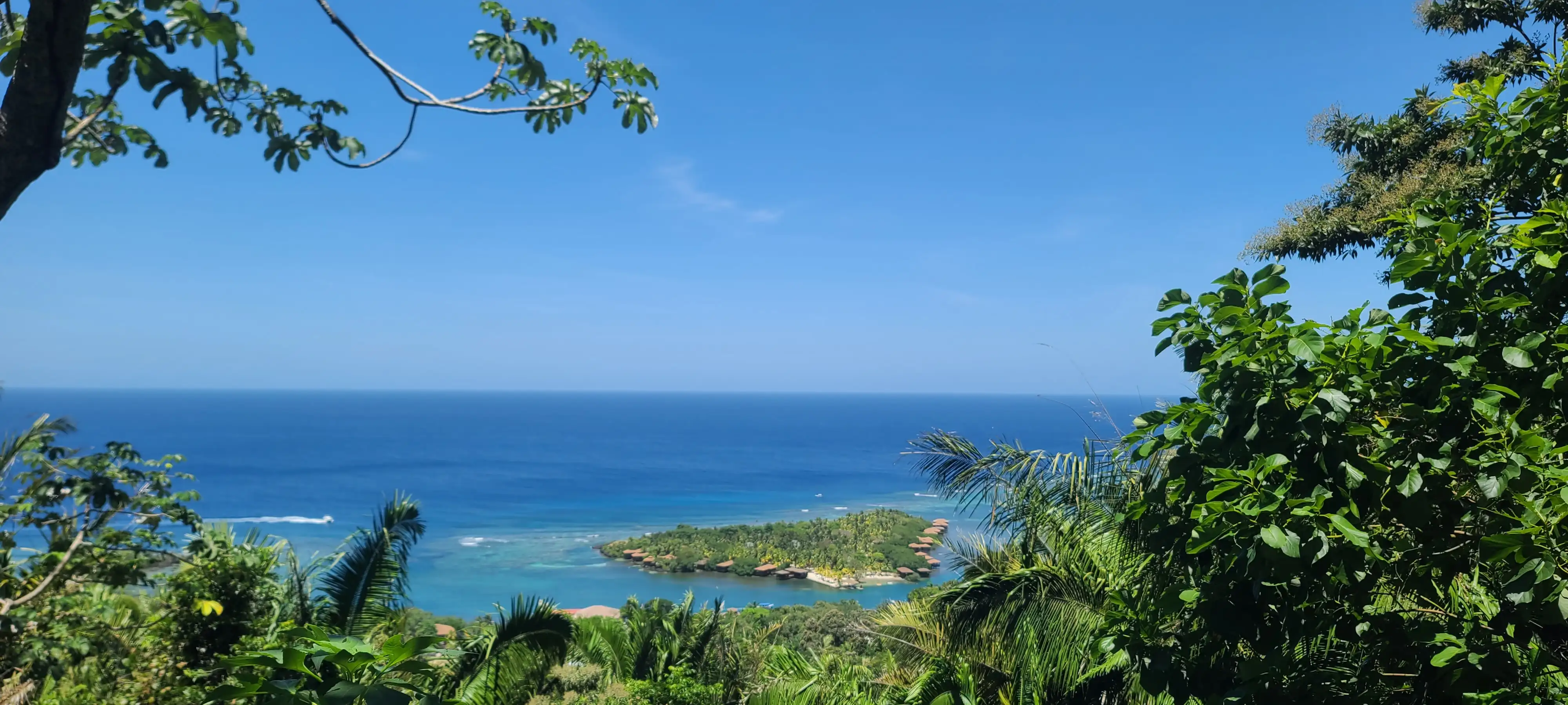 Anthony's Key Resort Roatán | Prices, Diving & an Honest Review — Sandy Bay, north-west coast, Roatán