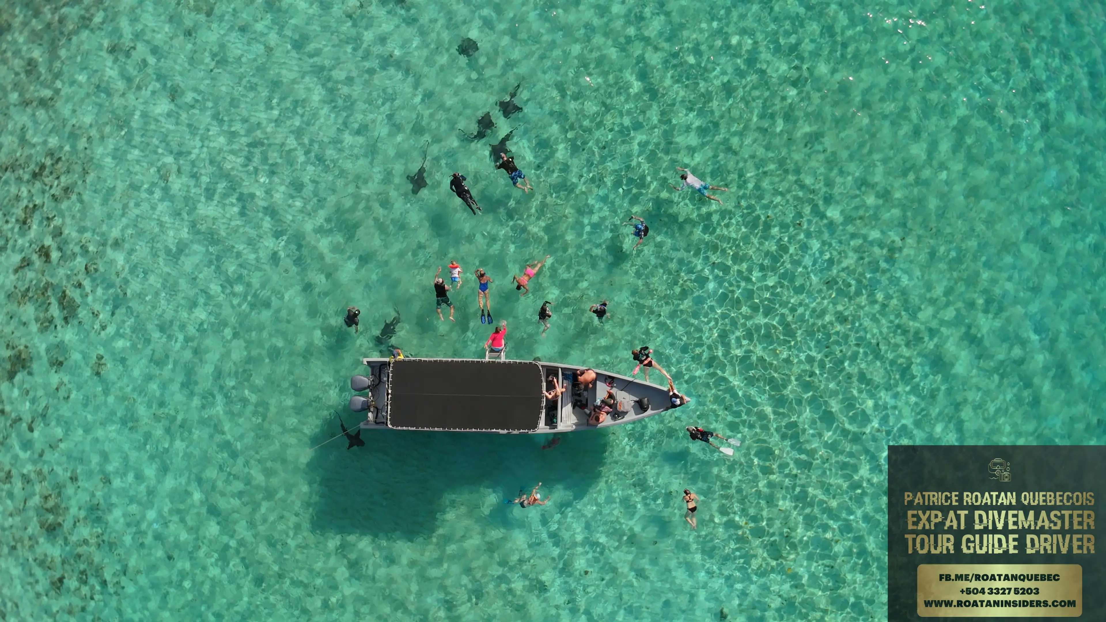 Snorkeling with nurse sharks next to the boat at Pigeon Cay