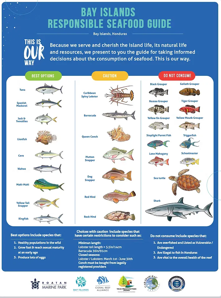 Le Bay Islands Responsible Seafood Guide, l’affiche du Roatán Marine Park : neuf meilleurs choix, sept à consommer avec prudence, douze à ne pas consommer.