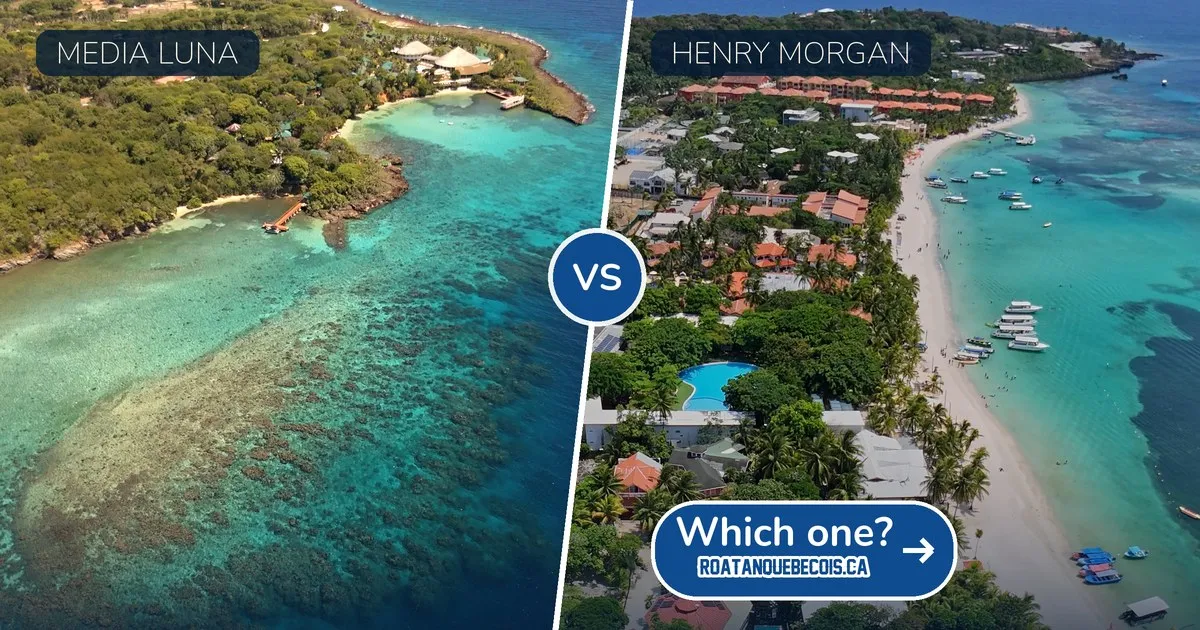 Media Luna vs Henry Morgan in Roatán: which all-inclusive should you book?