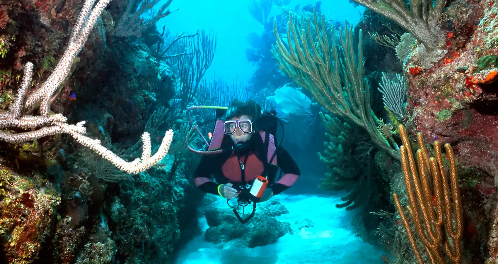 A diver exploring a coral canyon off Roatán with Naboo Resort & Dive Center