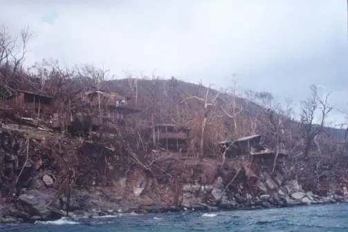 Photographie au sol de la forêt de Guanaja dépouillée par l’ouragan Mitch, fin 1998