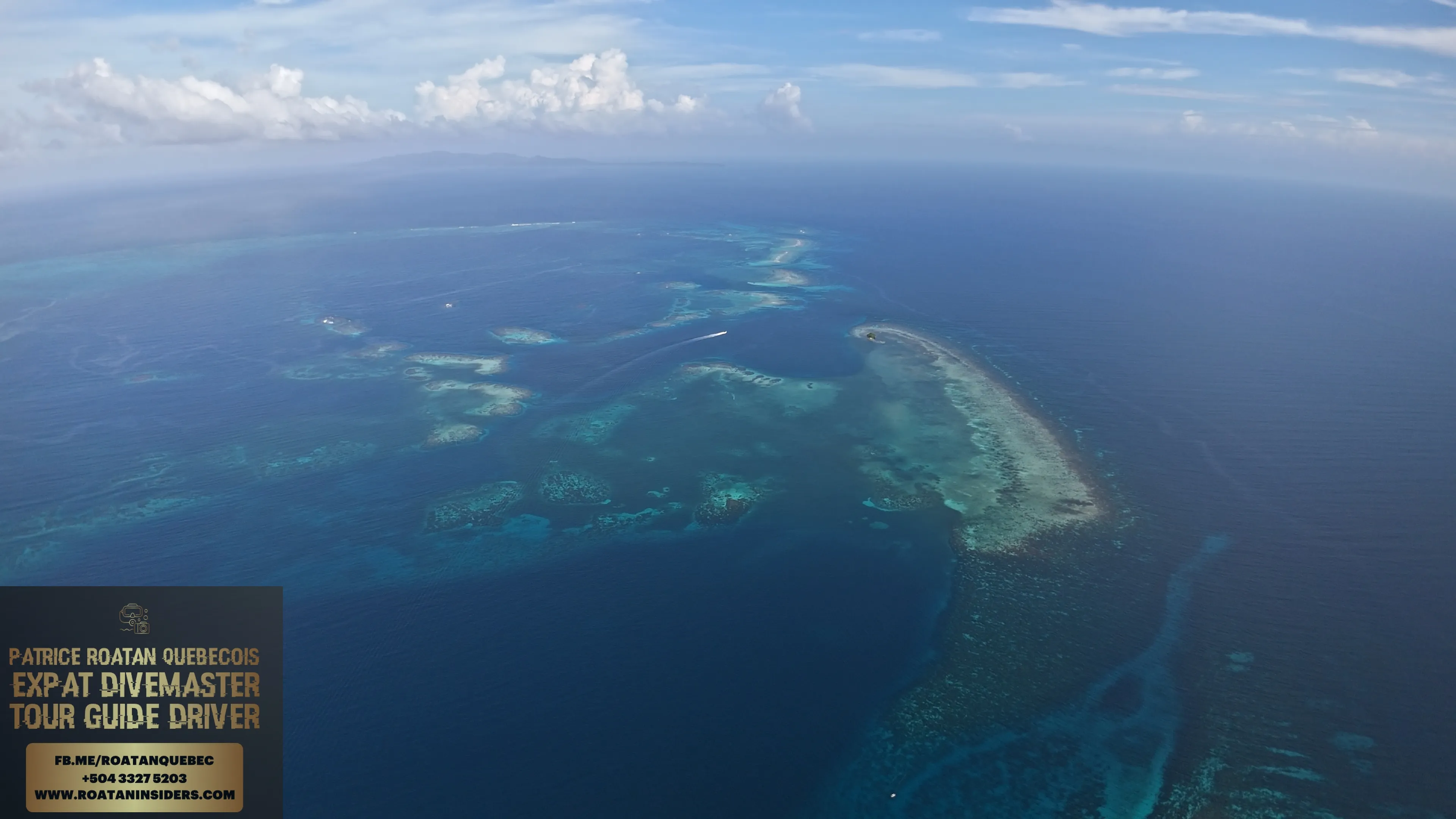 Pigeon Cay Roatán — Nage avec les requins-nourrices · 5 stops premium