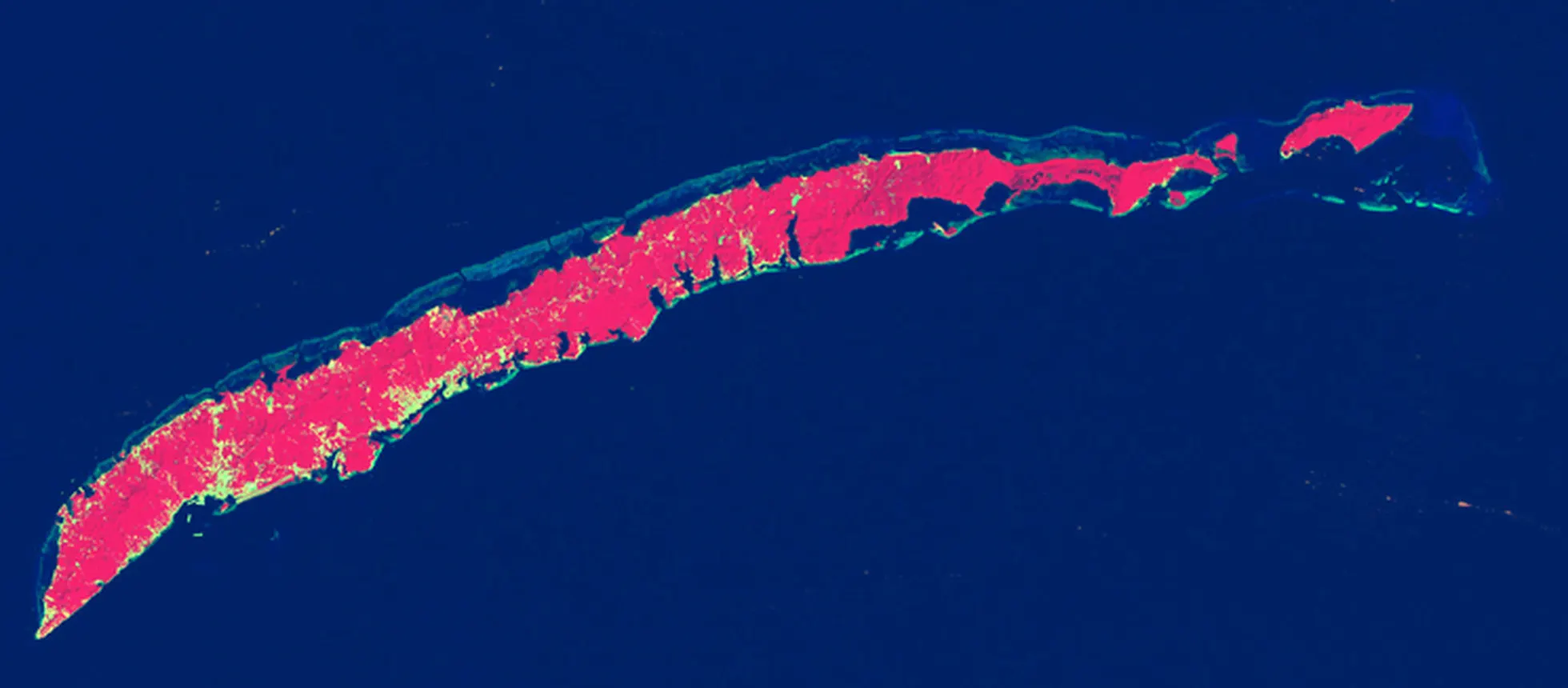 Roatán vue par Landsat 8 le 18 février 2026, même fausse couleur infrarouge : toute la moitié ouest est criblée de jaune, le bâti qui perce la végétation