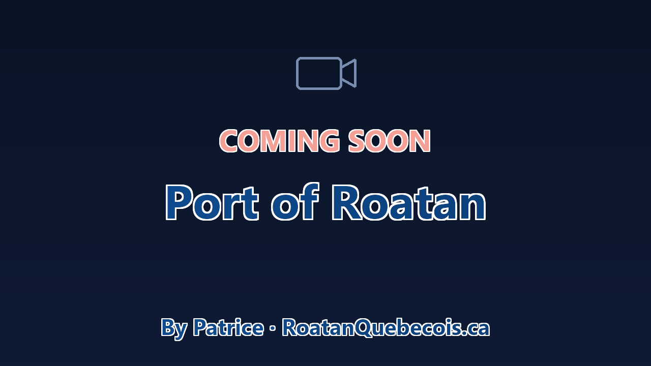 Coming soon — Mahogany Bay (Isla Tropicale) cruise port webcam, Roatan