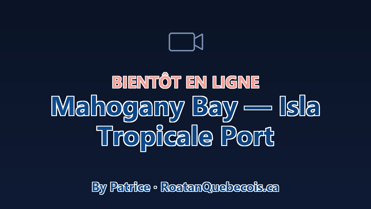 Bientôt en ligne — webcam du port de Mahogany Bay (Isla Tropicale), Roatán