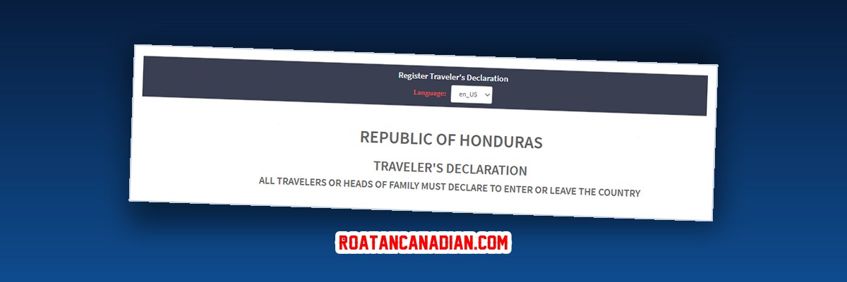 Open the Honduran customs declaration form on the official government portal