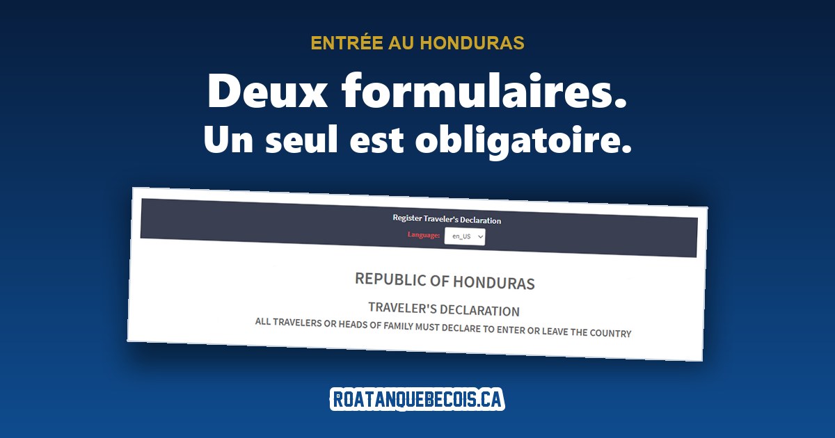Le formulaire douanier hondurien, ouvert sur le portail officiel