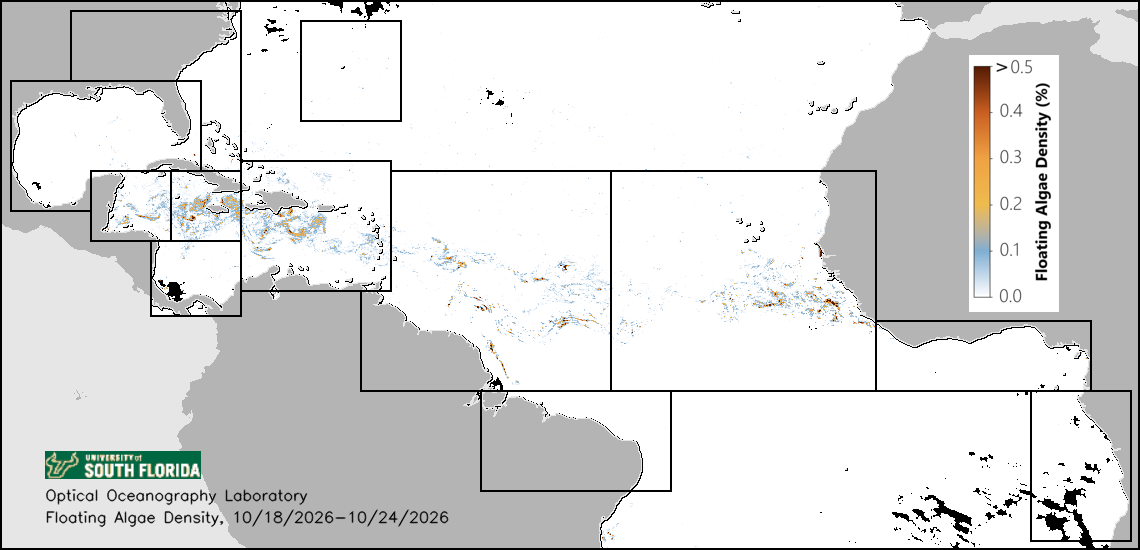 Ceinture de sargasses de l'Atlantique vue par satellite, du 17 au 23 octobre. La bande traverse l'océan, remonte par les Petites Antilles et s'engouffre dans le canal du Yucatán. Le bleu est de l'eau claire, le vert au rouge de l'algue flottante.