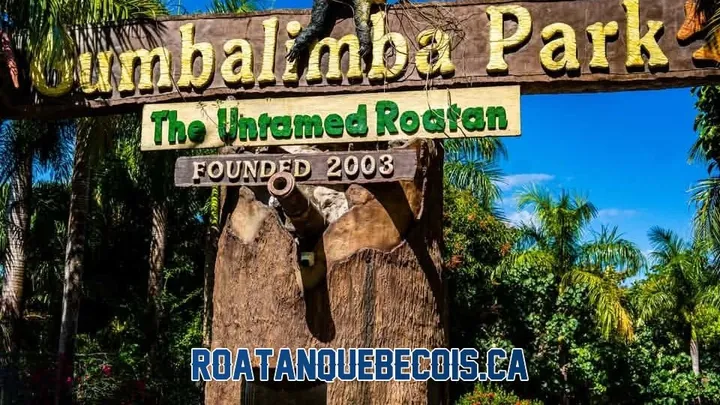 A land day in Roatán: Gumbalimba, Sol y Mar and the island brewery