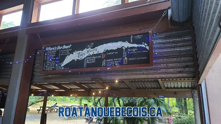 Tour de l'île — beach club, microbrasserie et paresseux à Roatán