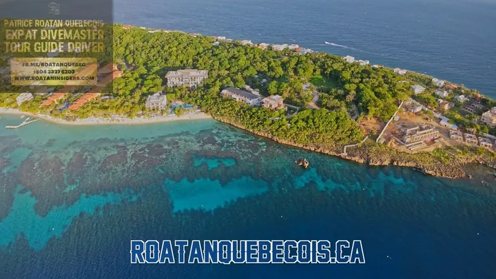 Snorkeling à West Bay avec Patrice — Turtle Crossing à Roatán